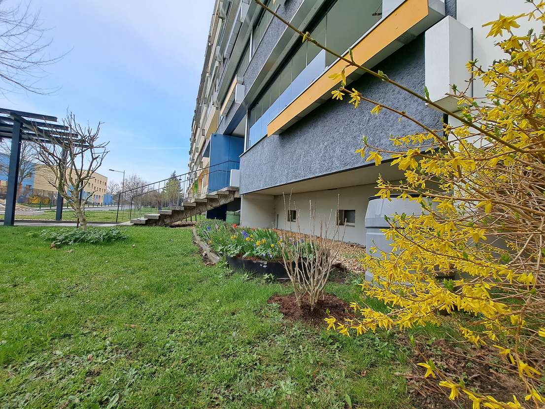 2-Zimmer Etagenwohnung 311 € zur Miete Löbau, Görlitz (Kreis)