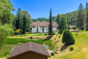 EXKLUSIVE HOCHZEITS- & EVENTLOCATION MIT PRIVATSEE, GÄSTEZIMMERN UND EINZIGARTIGEM NATURAMBIENTE! – Die vollständige Adresse der Immobilie erhältst du vom Anbieter., 74736 Hardheim – Vorschaubild 3
