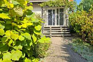 Einfamilienhaus mit großem Garten – Rhein-Pfalz-Kreis – Vorschaubild 4