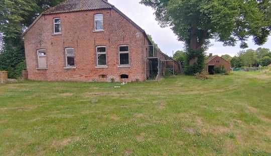 Bild von Gulfhaus in malerischer Stille mit altem Baumbestand in Holtland