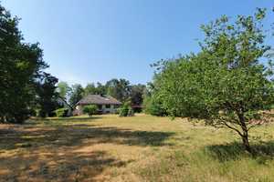 Großer Wohntraum, Kaminhäuschen, eigener Wald - viele Möglichkeiten – Langendorf, Lüchow-Dannenberg (Kreis), 29484 Lüchow-Dannenberg (Kreis) – Vorschaubild 1