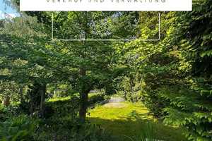 Leerstehendes (ab 07.2026) Zweifamilienhaus mit gepflegtem Garten im Ortsteil Hermsdorf – Brandtstraße 23, 13467 Berlin – Vorschaubild 2