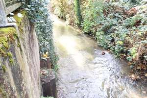 Property thumbnail 13