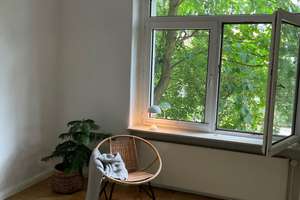 Traumhafte 3 Zimmer Erdgeschosswohnung im östlichen Ringgebiet mit Westbalkon und Terrasse – Schlegelstrasse 10, 38104 Östliches Ringgebiet, Braunschweig – Vorschaubild 17