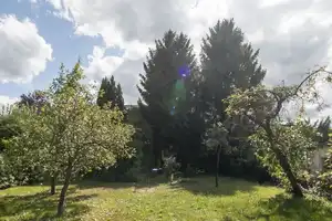 HOMESK – Doppelhaushälfte in Britz mit viel Potenzial und großzügigem Garten – Seerosensteig 14, 12347 Berlin – Vorschaubild 32