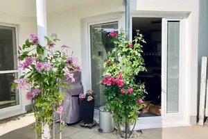 Attraktives Haus in Herdecke – Ennepe-Ruhr-Kreis – Vorschaubild 4