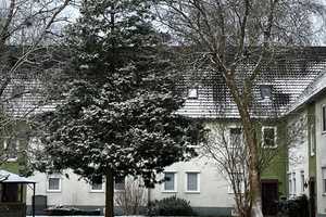 Property thumbnail 11