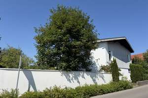 großes Einfamilienhaus in Toplage Grafing bei München