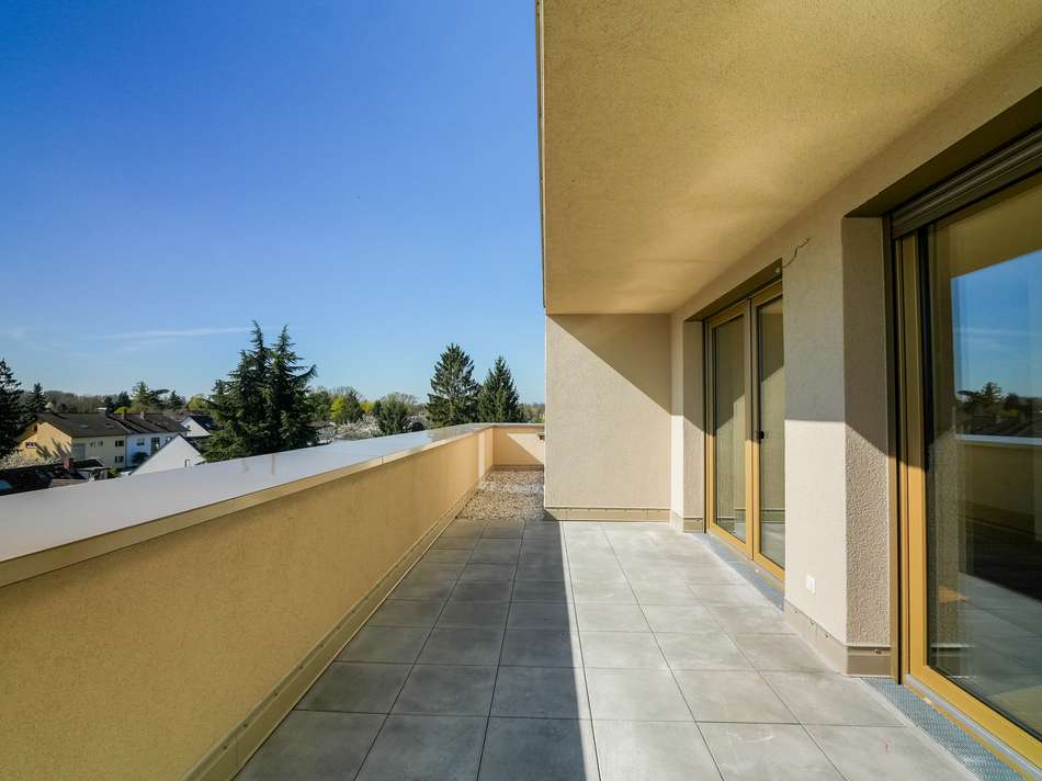 Dachterrasse mit Waldparkblick