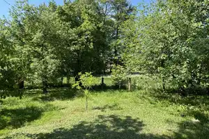 Einfamilienhaus in Strohkirchen bei Hagenow, in einer ruhigen Umgebung gelegen – Wiesenweg 15, 19230 Ludwigslust (Kreis) – Vorschaubild 4