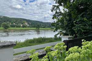 Monatsweise möbliert mieten. Traumhaft DIREKT an der ELBE – Tolkewitzer Straße 59a, 1277 Blasewitz (Stadtteil), Dresden – Vorschaubild 21