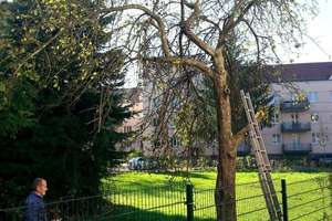 6 Whgn. in 6-Fam.-Haus + ausgebautes DG – Die vollständige Adresse der Immobilie erhältst du vom Anbieter., 1219 Strehlen, Dresden – Vorschaubild 7