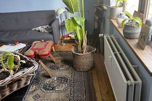 Property thumbnail 3