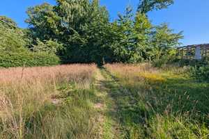 Energieeffizient mit großem Garten – Pinneberg (Kreis) – Vorschaubild 14