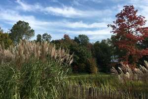 Property thumbnail 13