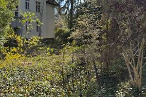 Dachgeschoss- Mansardenwohnung mit ausbaufähigem Spitzboden – Freiwaldauerweg 16, 12205 Lichterfelde, Berlin – Vorschaubild 4