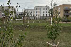 Erstbezug! Townhouse mit eigenem Garten – Norfolkweg 5a, 48167 Münster – Vorschaubild 31