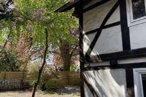 Im historischen Kern von Ölper - denkmalgeschütztes Fachwerkhaus – Dorfstraße 13 A, 38114 Lehndorf-Watenbüttel, Braunschweig – Vorschaubild 5