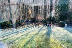 Freistehendes EFH in traumhafter Lage mit Waldblick - Provisionsfrei! – Die vollständige Adresse der Immobilie erhältst du vom Anbieter., 48155 Gremmendorf-West, Münster – Vorschaubild 2