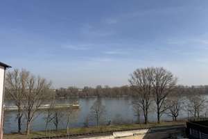 Stillvolle 4-Zimmer-Wohnung mit Balkon zum Wohlfühlen in direkter Rheinnähe – Die vollständige Adresse der Immobilie erhältst du vom Anbieter., 55130 Weisenau, Mainz – Vorschaubild 1