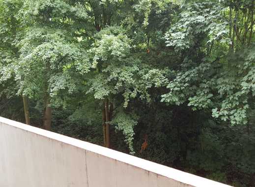 Single wohnung ludwigshafen