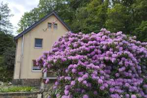 +ESDI+ Einfamilienhaus zur Traumerfüllung! Naturgelegen! Ferienvermietung oder Eigennutz möglich! – Sächsische Schweiz-Osterzgebirge (Kreis) – Vorschaubild 1