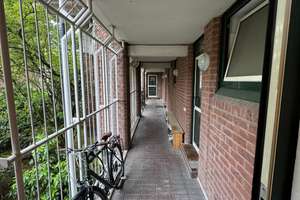 2-Zimmer-Wohnung in Köln-Sülz direkt am Uni-Center mit Gartenmitbenutzung – Universitätsstraße 7, 50937 Sülz, Köln – Vorschaubild 17