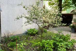 Mehrfamilienhaus - 3 Eigentumswohnungen - für Kapitalanleger in Fechenheim – 60386 Fechenheim, Frankfurt am Main – Vorschaubild 3