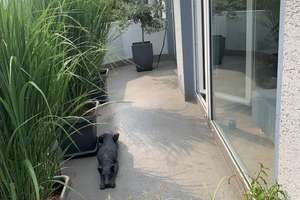 ***IHR PLATZ FÜR KREATIVE WOHN(T)RÄUME - TOLLE 3 ZIMMER WOHNUNG MIT EINBAUKÜCHE UND 2 BALKONEN*** – 40629 Ludenberg, Düsseldorf – Vorschaubild 9