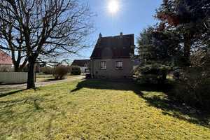 Frühlingsliebe nahe der Dahlener Heide. – Nordsachsen (Kreis) – Vorschaubild 6