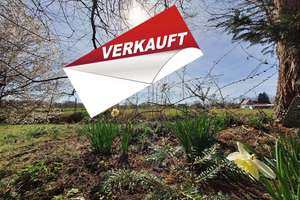 Freistehendes EFH mit großem Garten und Weitblick in Hafennähe – Die vollständige Adresse der Immobilie erhältst du vom Anbieter., 26826 Weener – Vorschaubild 1