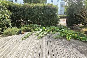 Neuwertige Terrassenwohnung mit Garten in Darmstadt zu verkaufen – 64289 Kranichstein, Darmstadt – Vorschaubild 3
