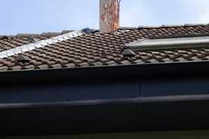 423 - Sehr schöne Einfamilien-Doppelhaushälfte mit eigenem Garten & Doppelgarage in Gelsenkirchen – Kriemhildstr. 4X, 45892 Gelsenkirchen – Vorschaubild 4
