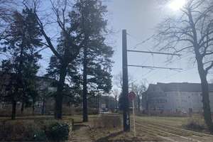 Property thumbnail 17