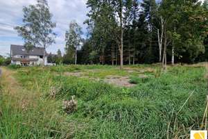 GEPFLEGTES MEHRFAMILIENHAUS NAHE FULDA – SOFORT VERFÜGBAR, PROVISIONSFREI UND MIT GROSSEM POTENZIAL – Die vollständige Adresse der Immobilie erhältst du vom Anbieter., 36041 Fulda – Vorschaubild 17