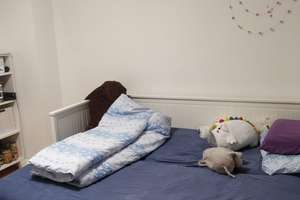 Schöne 3-Zimmer-Wohnung in Nürnberg-Wöhrd / Oststadt – Querstraße 15, 90489 Wöhrd, Nürnberg – Vorschaubild 14