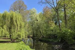Attraktive Kapitalanlage nahe Schlosspark & Brosepark – Die vollständige Adresse der Immobilie erhältst du vom Anbieter., 13156 Niederschönhausen, Berlin – Vorschaubild 16