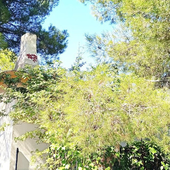 EINMALIGE GELEGENHEIT  LANDHAUS 3 SZ 1 BAD MIT POOL  2 BENACHBARTE GRUNDSTÜCKE VON 3.250 m²