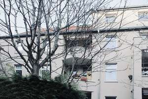 Charmante Denkmal Etagenwohnung – Grolmannstraße 17, 99085 Krämpfervorstadt, Erfurt – Vorschaubild 3