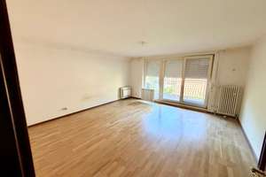 Tolles Einfamilienhaus in ruhiger und doch zentraler Lage mit Einliegerwhg. – Die vollständige Adresse der Immobilie erhältst du vom Anbieter., 69120 Neuenheim, Heidelberg – Vorschaubild 15