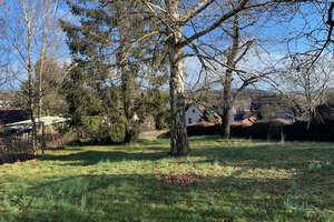 Property thumbnail 13