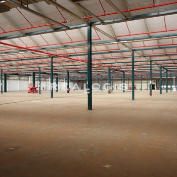 Lager / Logistik | mehrere Rampe und Tore | 5,00 m UKB