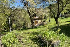 Einfamilien- oder Ferienhaus am Waldrand  von Sondershausen – Bergstr. 15, 99706 Sondershausen – Vorschaubild 4