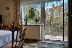 Großes Einfamilienhaus mit Einliegerwohnung und schöner Aussicht – Hauptstraße 37, 23974 Neuburg – Vorschaubild 32