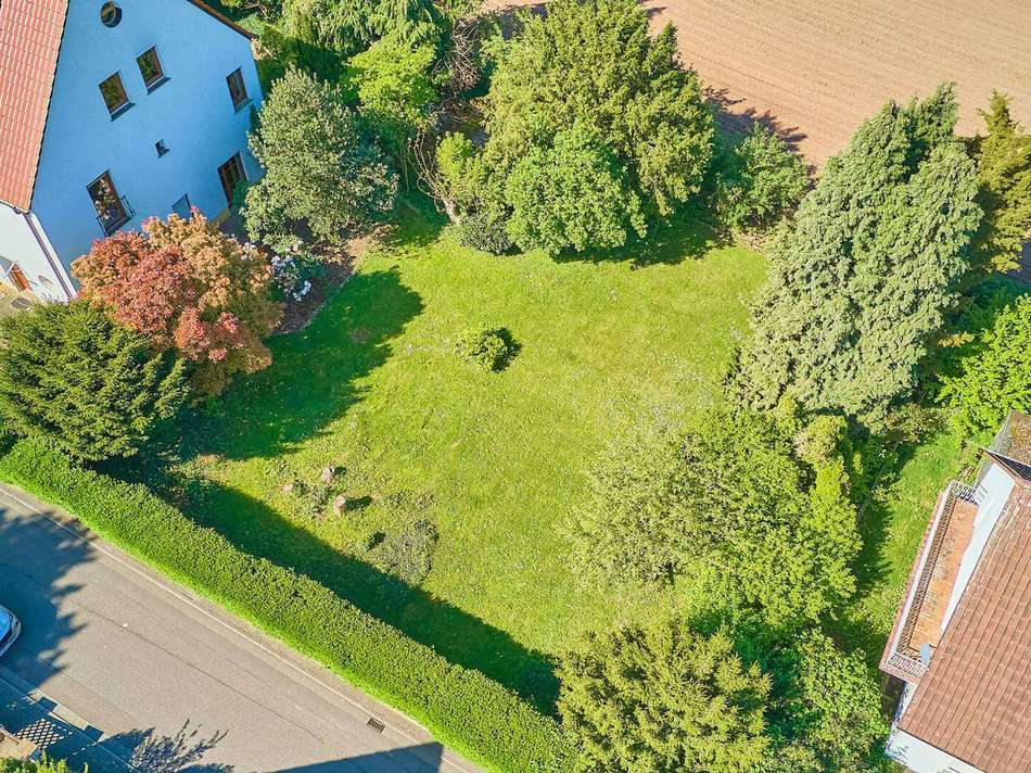 Große Gartenfläche