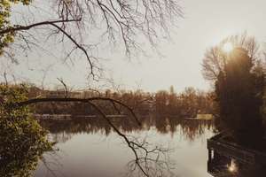 Property thumbnail 26