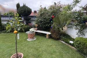 Charmantes Einfamilienhaus in Ludwigshafen-Oggersheim
 – 67071 Oggersheim, Ludwigshafen am Rhein – Vorschaubild 20