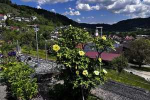 Wohnen und Arbeiten unter einem Dach – Rottweil (Kreis) – Vorschaubild 2