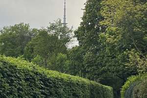 Am Luitpoldpark - Appartement mit Gartenterrasse – Schleißheimer Straße 280, 80809 Am Luitpoldpark, München – Vorschaubild 8