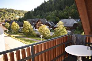 6‑Apartment Immobilie mit Garten, Terrasse & Garagen in Todtmoos / Südschwarzwald – Salesiaweg 18, 79682 Todtmoos – Vorschaubild 24